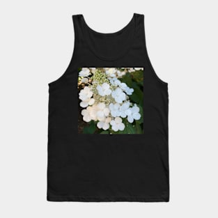 White hydrangeas Tank Top